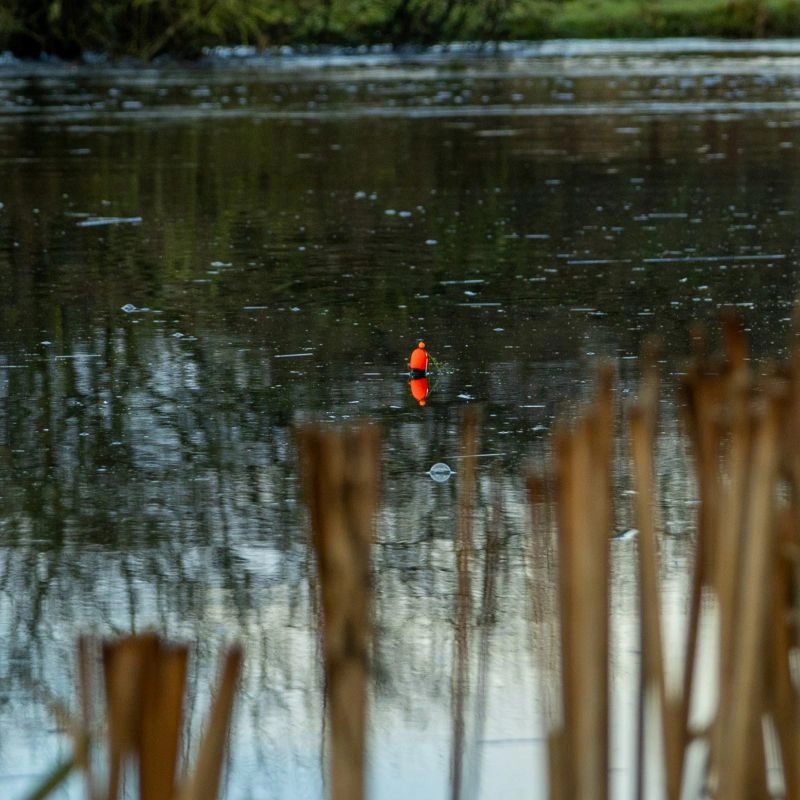 Fox Rage Predator HD Slim Slider Floats